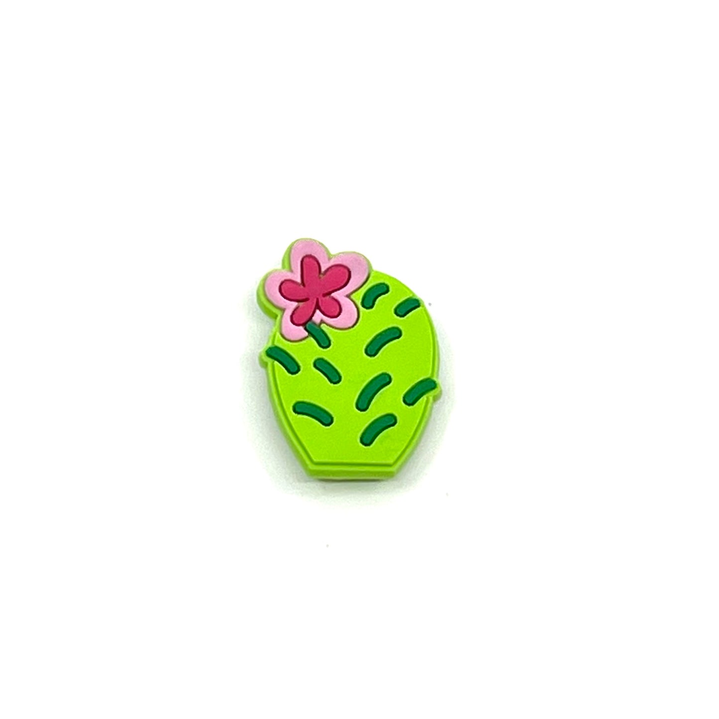 Cactus flower